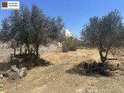 Pitsidia (Komos) Kreta Pitsidia Baugrundstück in dem beliebten Dorf Pitsidia zu verkaufen Grundstück kaufen